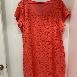 Dress Size XXL